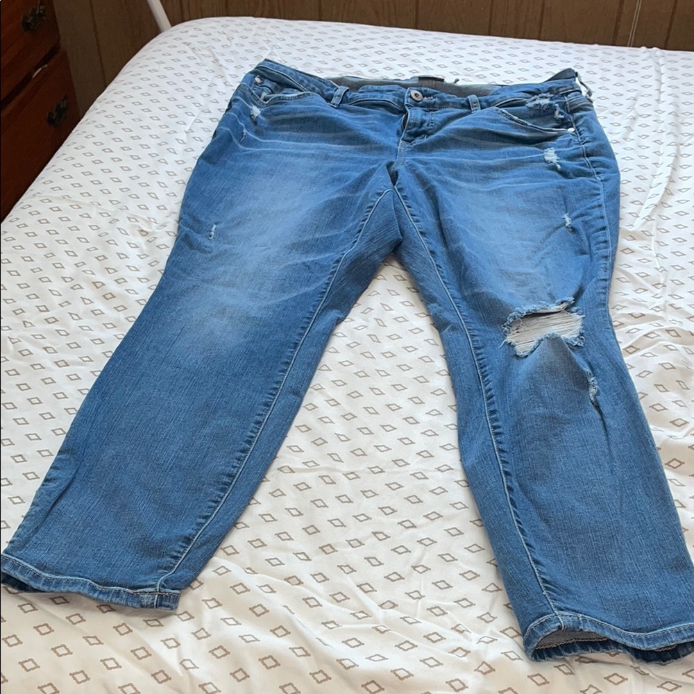 Women's Blue Distressed Jeans